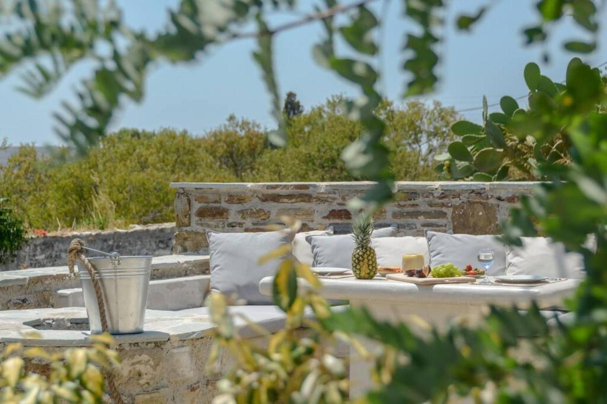 Villa Anthemion Naxos With Outdoor Jacuzzi Ano Sangrion Exterior foto